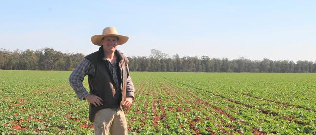 Jarrod Amery in a canola crop on his farm near Forbes last year.