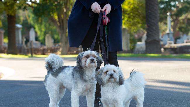 Kate- not her real name with her dogs, Louie and RuPaul who helped her escape her attacker at Williamstown Cemetery. Picture: Sarah Matray