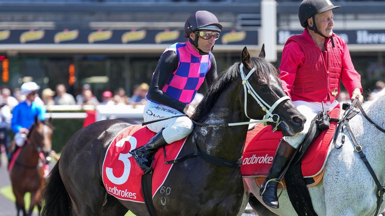 Oliver aboard Brave Halo prior to the Blue Diamond Prelude. Picture: Racing Photos via Getty Images