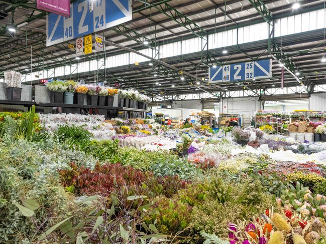 The Sydney Flower Markets, Homebush. Picture: NewsWire / Monique Harmer