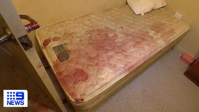 Two people attacked by the dog were forced to take refuge in a bedroom. Picture: Nine