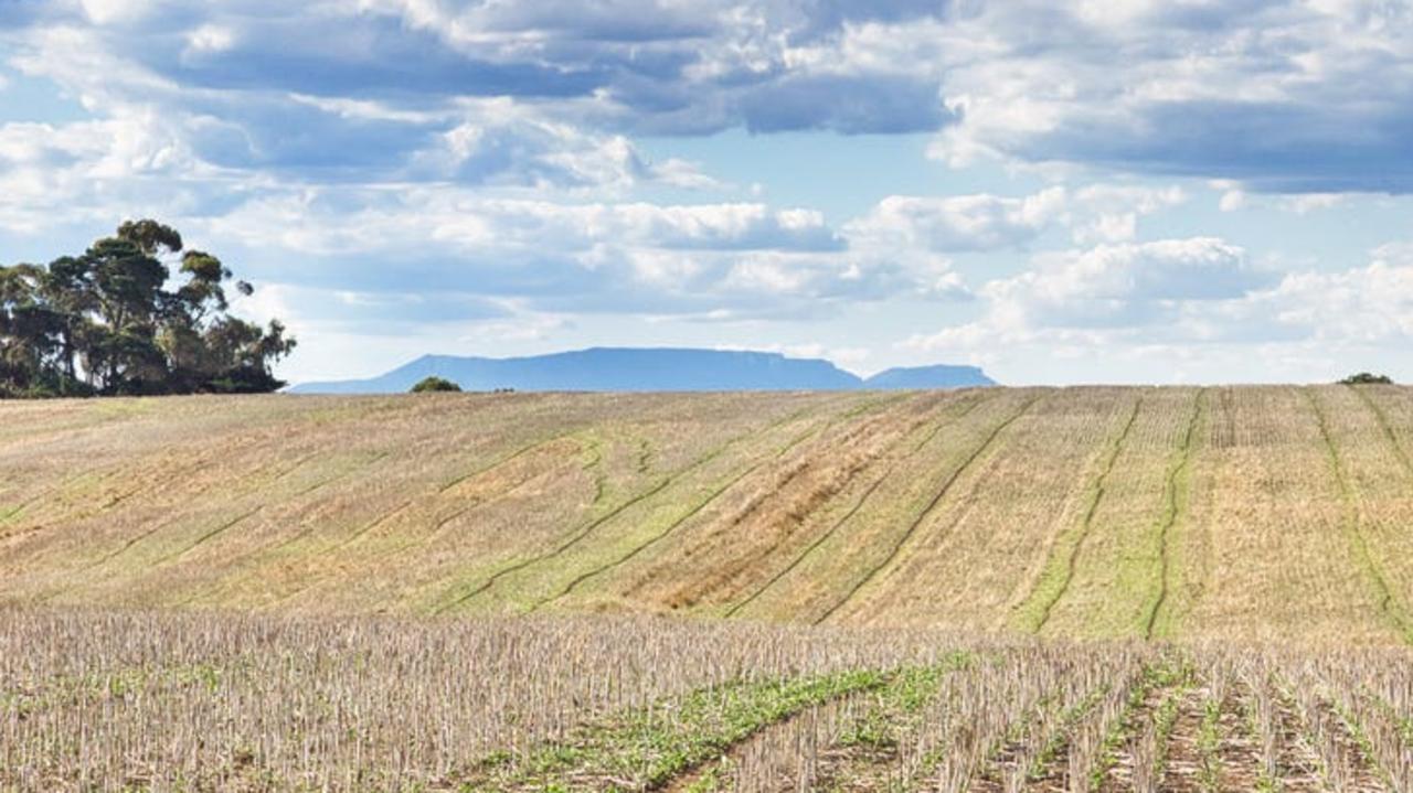 Graeme Scott sells Glenthompson farms to local buyers for $16,500 per ...