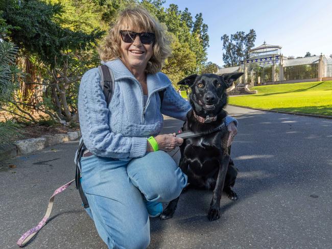 RSPCA SA's Million Paws Walk in Adelaide on May 25, 2025. Picture: Ben Clark