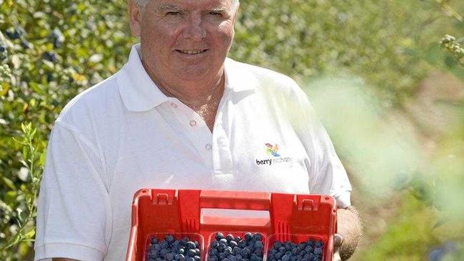 Head of the International Blueberry Organisation Peter McPherson of Costa. . Picture: Contributed