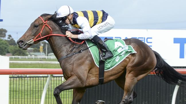 Principessa can break through for a well-earned win at Randwick-Kensington on Wednesday. Picture: Bradley Photos