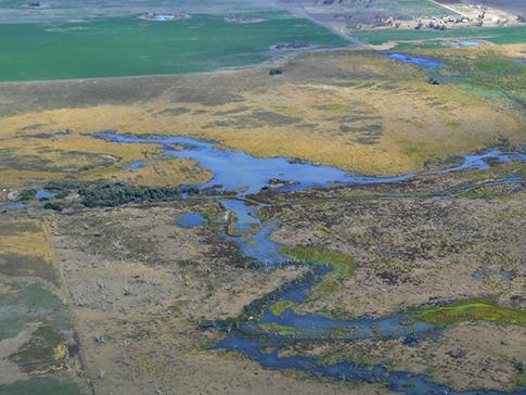 Proposed floodplain harvesting rules for the Namoi valley.