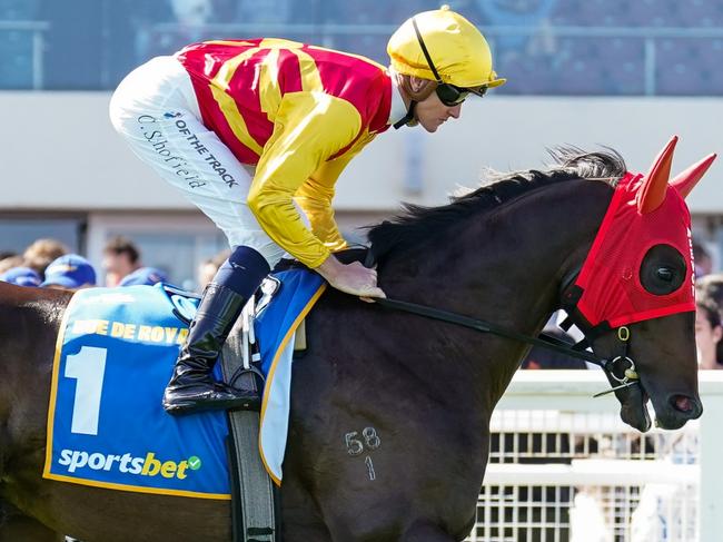 Rue De Royale (NZ) on the way to the barriers prior to the running of  the Sportsbet Blue Diamond Stakes at Caulfield Racecourse on February 24, 2024 in Caulfield, Australia. (Photo by Scott Barbour/Racing Photos via Getty Images)