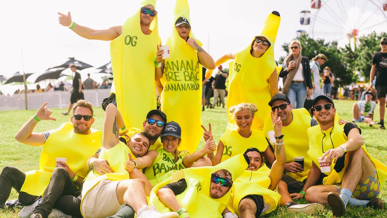 Big Pineapple Music Festival on the Sunshine Coast. Picture: Contributed