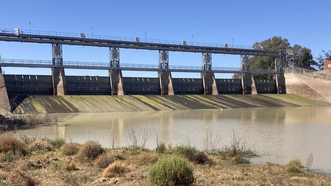 Neither Menindee main weir nor the Lake Wetherell outlets have fishways, leaving golden perch and bony bream trapped, unable to travel upstream.