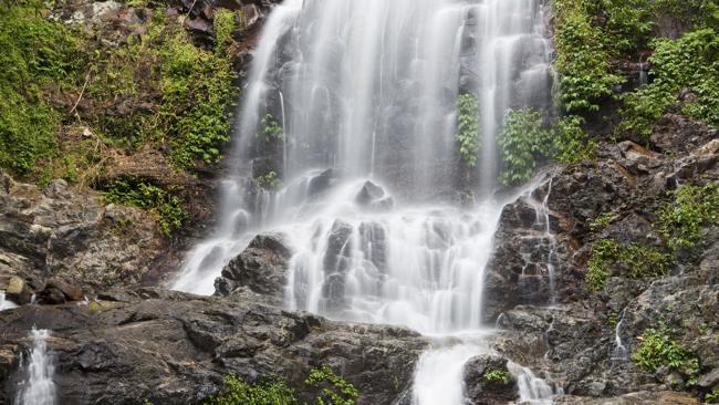  A waterfall in Dorrigo National Park. Picture: Supplied 