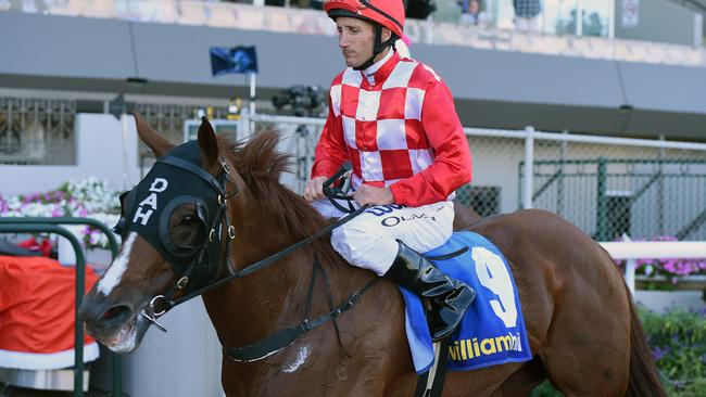 Miss Promiscuity has a good record at Caulfield. Picture: Tom Huntley