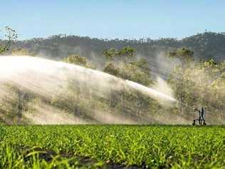 Rex Stroppiana has sold his Mackay sugar farm to Graeme Blackburn. Picture: Contributed