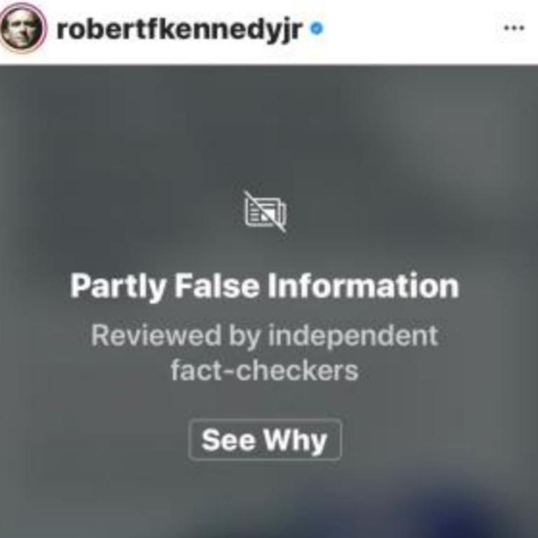 One of his Instagram posts was hit with a fact-check well.