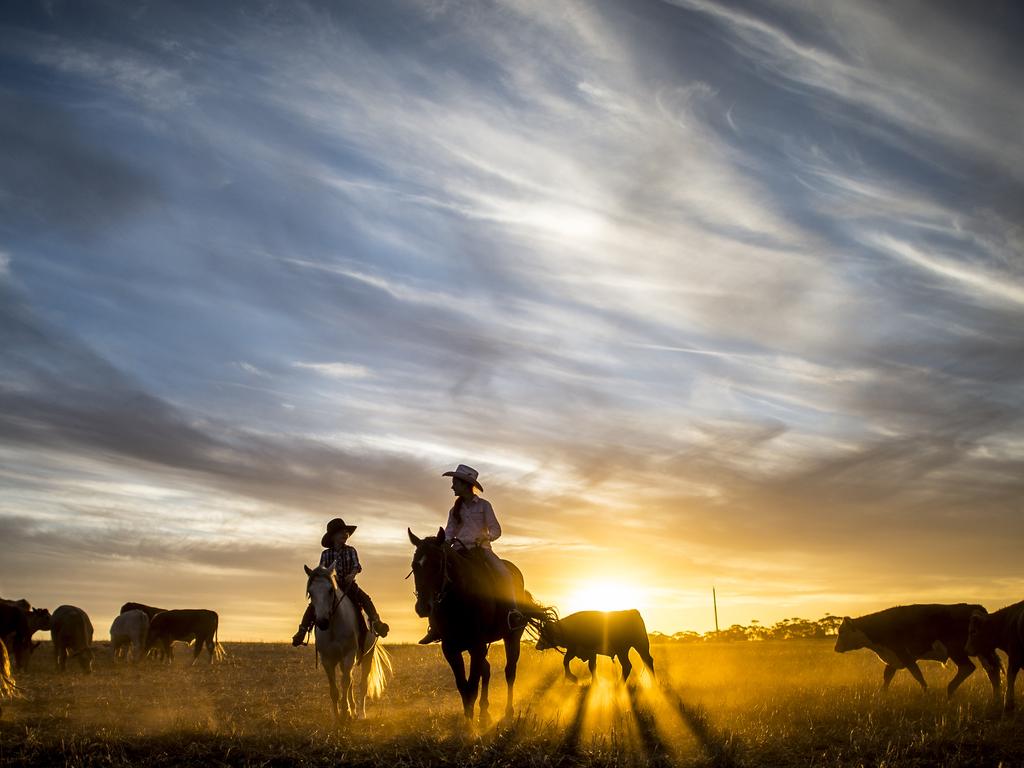 7:35pm 19-01-2015. Ash Allen, 12, and Maddi Allen, 7, have grown up around horses all their lives, their love for them is so overwhelmingly evident. The sisters show more control and experience than most adults, even able to lay a horse down with a few gentle words and a tap. Picture: Jason Edwards