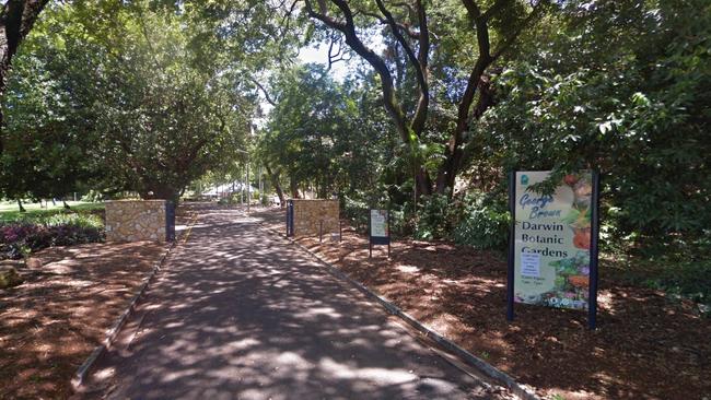 A Parks spokeswoman confirmed the tree involved in the incident was an enterolobium cyclocarpum — commonly known as a Monkey Ear Pod tree — a fast-growing, deciduous tree native to Central America. Picture: Google Maps