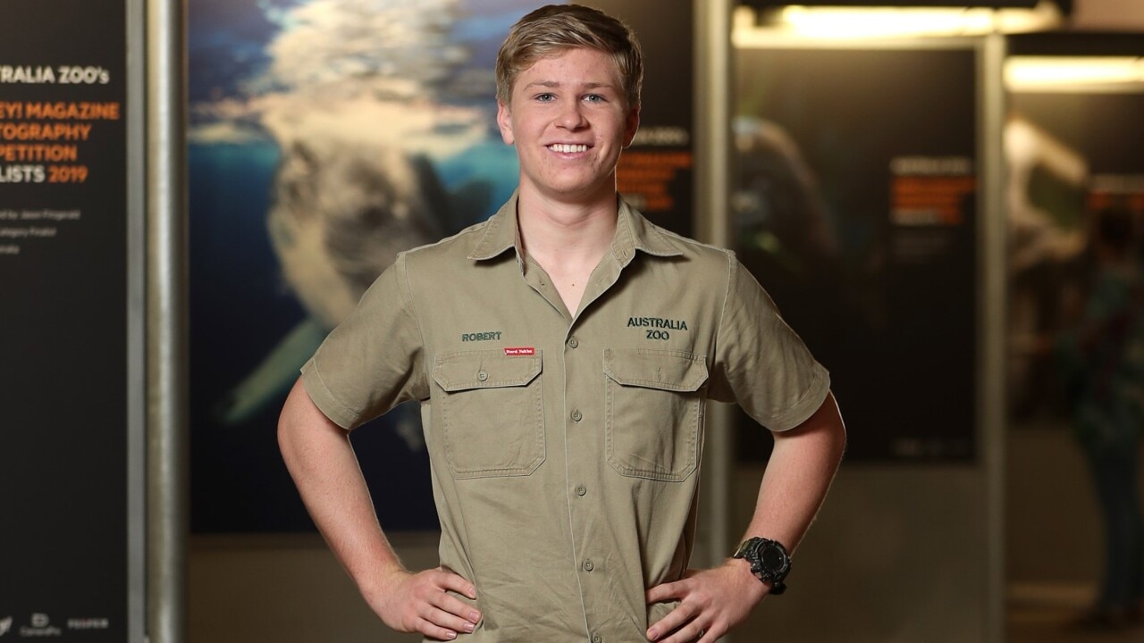 Robert Irwin more comfortable 'wrangling wildlife' than standing on a red carpet