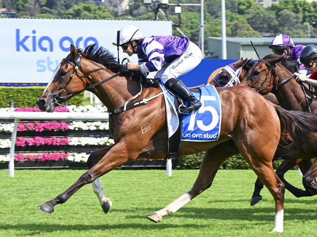 Churchill's Choice winning at Randwick in December Picture: Bradley Photos