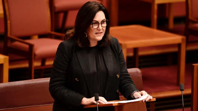 Labor senator Deborah O'Neill speaking in parliament.