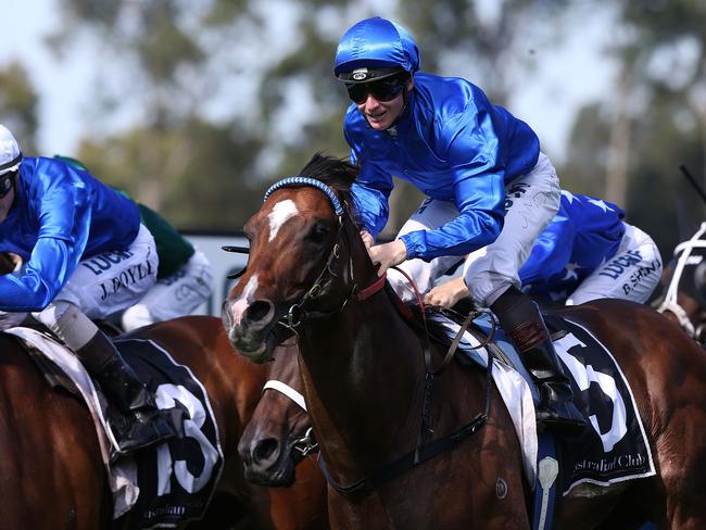 George Ryder Stakes 2015: Adelaide heads outstanding list of entries ...