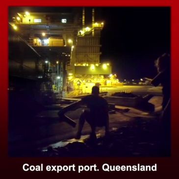 Kyle Magee discusses Adani Abbot Point Coal Terminal protest