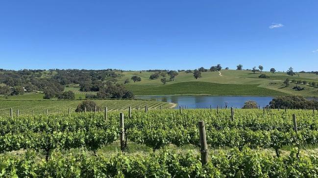 Mountadam Vineyards boasts ‘beautiful, pristine fruit’.