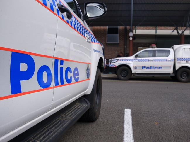 Two men have been arrested over the theft of 800 cattle in northwest Queensland.