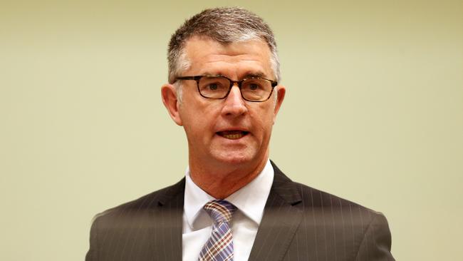 Deputy Leader of the Opposition Tim Mander speaking in parliament. Picture: Tara Croser