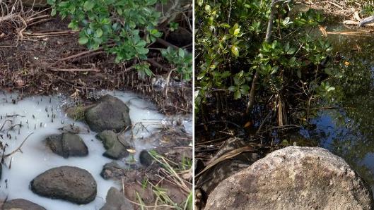 Locals have raised concerns over water quality at Rifle Range Beach in Bargara.