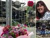 Terrified, trapped in DV hell: Doreen’s cries for help ignored