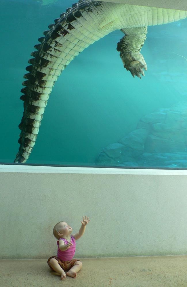 Waverley May desperate to play with the crocs at Crocosaurus Cove. Picture: Gordon and Jessica Allen