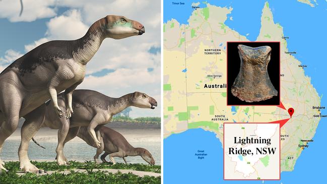 Fossilised remains of Fostoria dhimbangunmal, preserved in opal, have been found at Lightning Ridge in NSW.