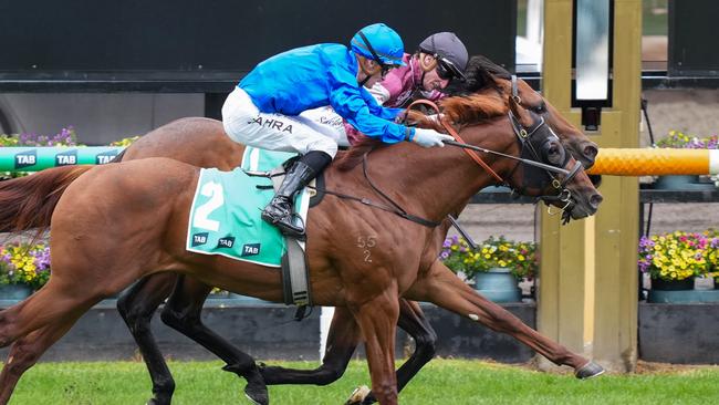 Shining Smile (inside) and Tentyris couldn’t be split in the Talindert Stakes at Flemington. Picture: George Sal/Racing Photos via Getty Images