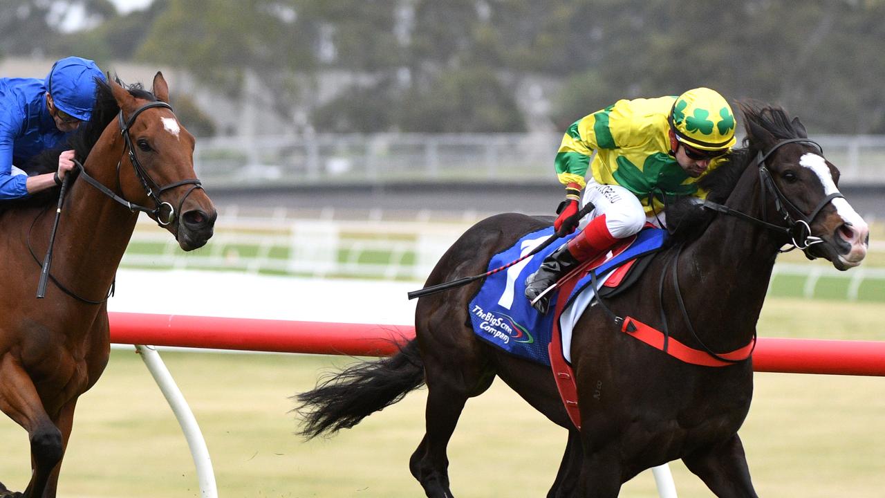 Dean Yendall rides Pacodali to victory at Sandown on Saturday. Picture: AAP