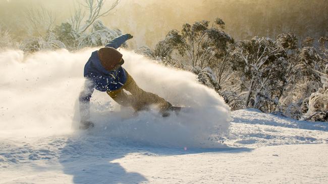 Fun in The Fresh Snow at Thredbo today. Fresh snow a perfect was to start the week in Thredbo 27-7-15. Supplied by Thredbo