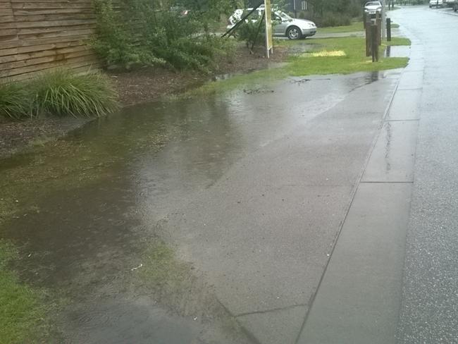 A flooded nature strip in Meridian Estate.