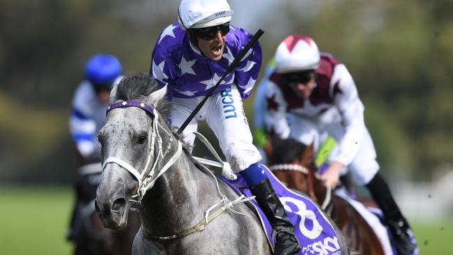 Rosehill Guineas winner D’Argento is top lightweight chance in the Doncaster Mile. Picture: AAP