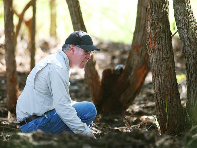 Tony Lowe has been assisting authorities with the search. Picture: NCA NewsWire/Peter Lorimer