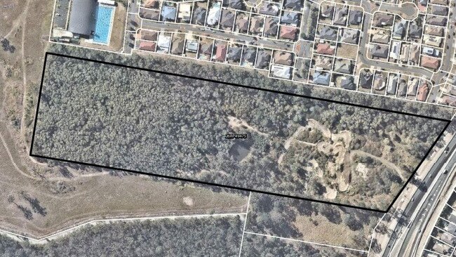 Aerial view of the site. Most of the trees will be retained as the area is suitable for koalas.