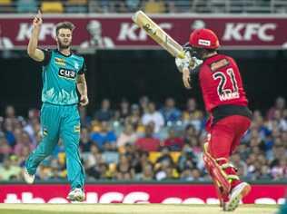 Mark Steketee was the second top wicket taker in last season's BBL. Picture: DAVID KAPERNICK