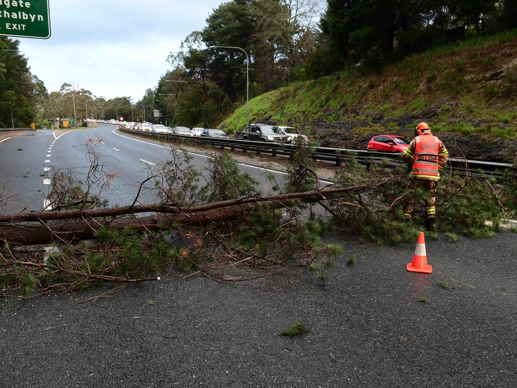 Wild weather continues in Adelaide Hills. A tree fallen over the East bound lane of the South East Freeway blocking all trafficc at the Stirling Exit is cleared by a CFS crew. Picture CAMPBELL BRODIE.