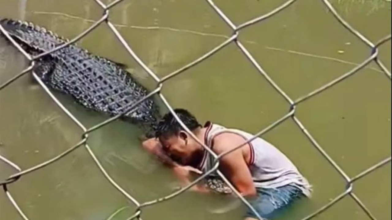A zoogoer was attacked by a crocodile after climbing into its enclosure in the Philippines. Picture: ViralPress