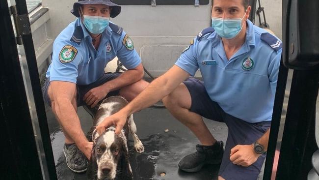 Cooper with his rescuers after being pulled from the water. Picture: NSW Police Force