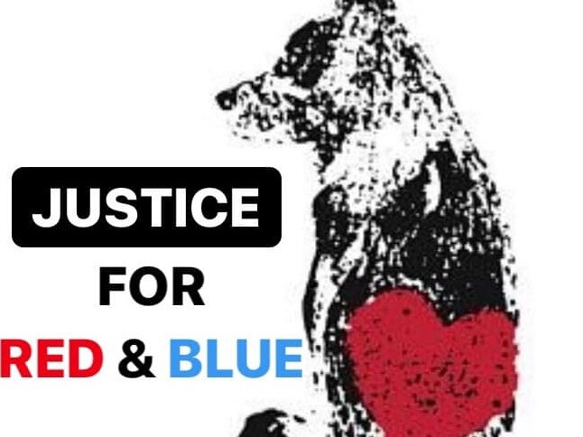 An image from the Justice for Red and Blue Facebook page. Picture: Facebook