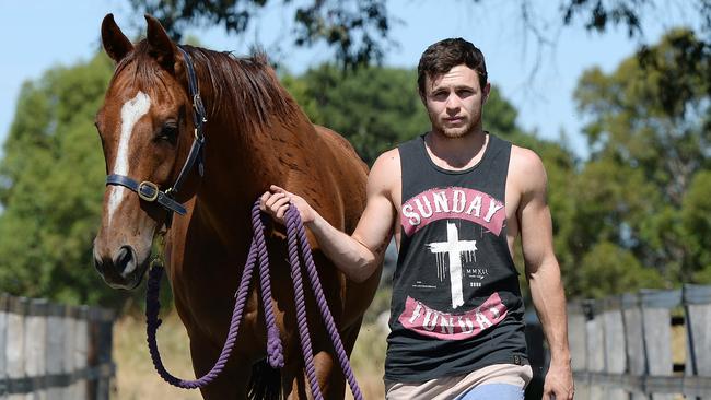 Hayden Ballantyne enjoys dabbling in racehorse training.