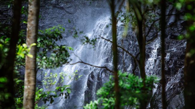 Springbrook National Park Hiking Trail waterfall. Picture: Destination Gold Coast