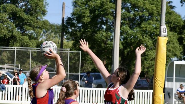 $150k new future for Stanthorpe netball finally unveiled