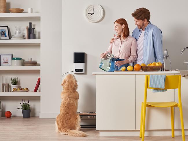 The RSPCA warns smart pet technology should not replace human companionship.