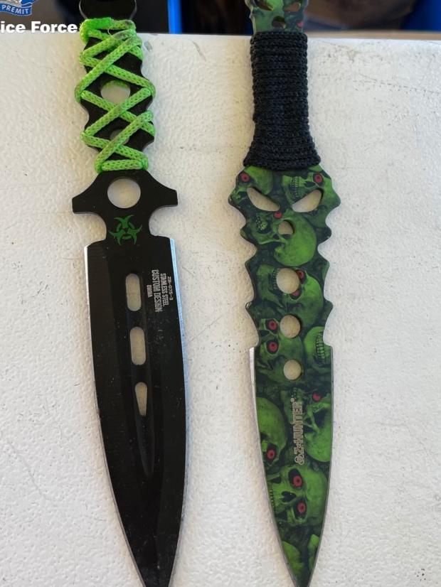 Police seized a zombie sword from the Bamforths’ home in Narara. Picture: NSW Police
