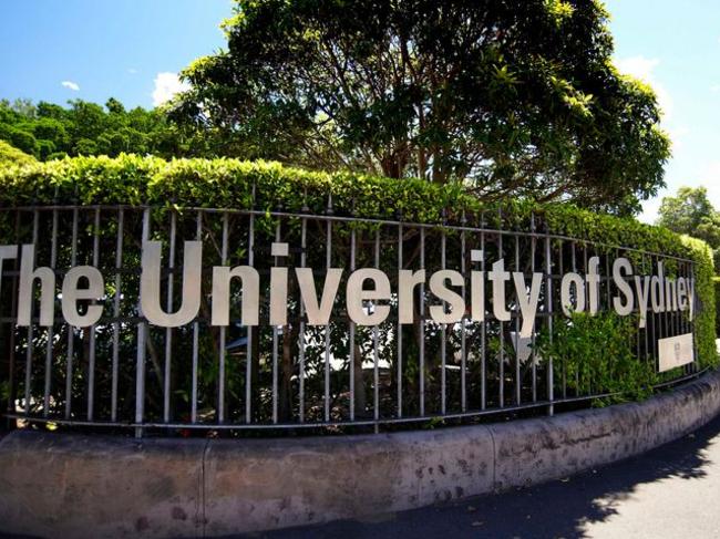 The University of Sydney has been investigating academic dishonesty.