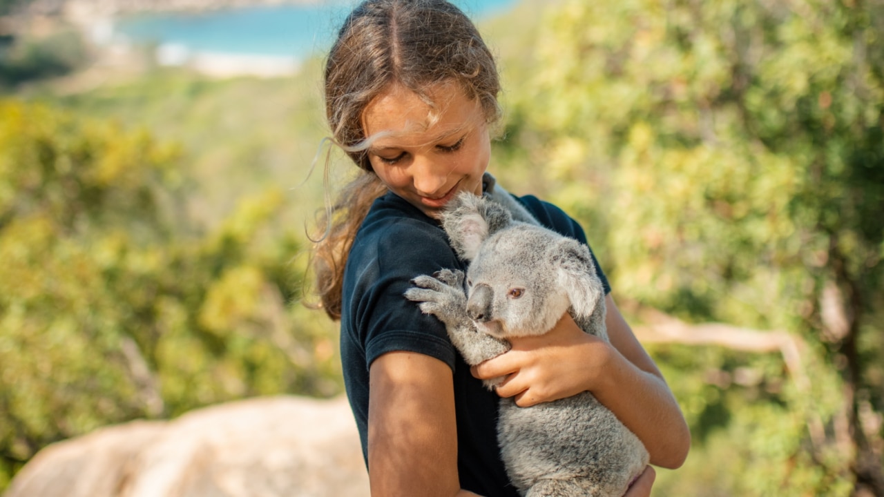 Izzy Bee, Australia’s Koala girl We catch up with Izzy and her vet